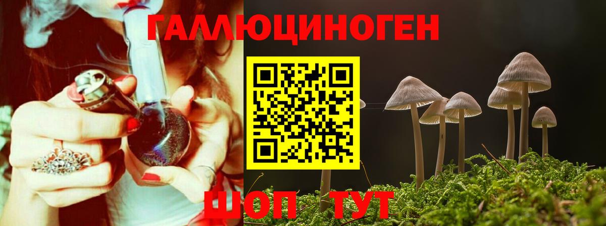 Псилоцибиновые грибы прущие грибы  Вход с VPN  Горно-Алтайск 